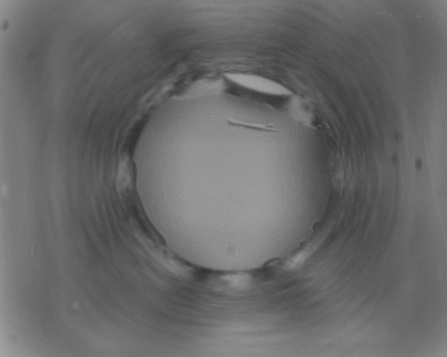 X0000075900478200610151821