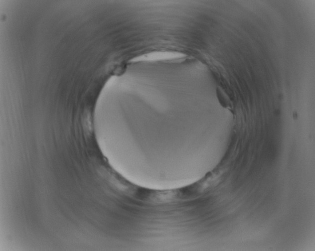 X0000075900479200610151821