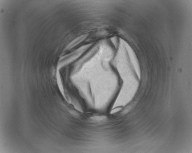 X0000075900480200610151821