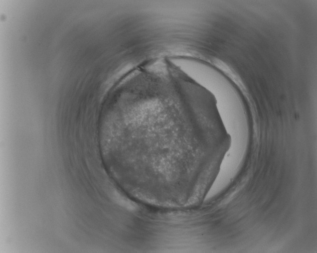 X0000075900481200610151820