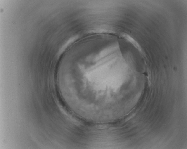 X0000075900482200610151820