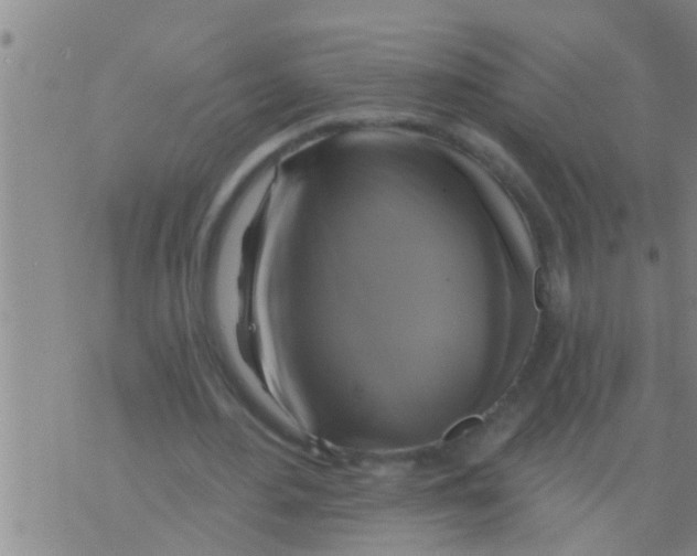 X0000075900484200610151820