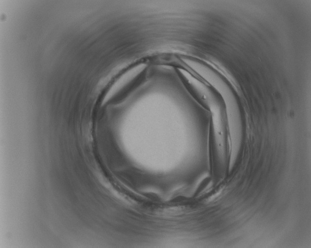 X0000075900485200610151820