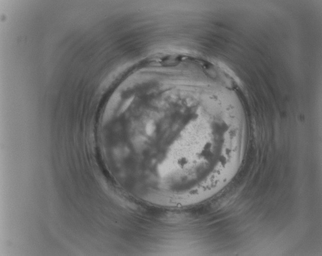 X0000075900487200610151820