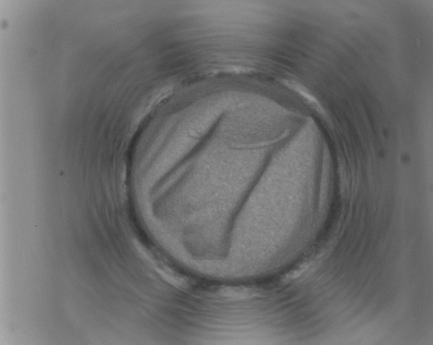 X0000075900490200610151820