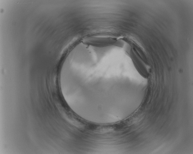 X0000075900491200610151820