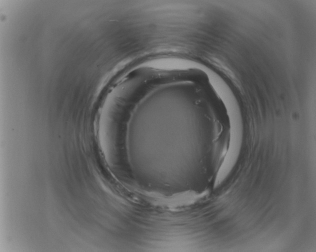 X0000075900492200610151820