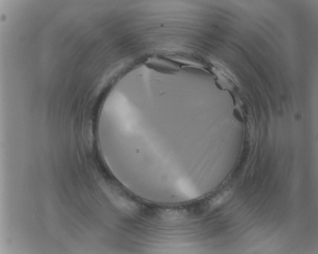 X0000075900494200610151820