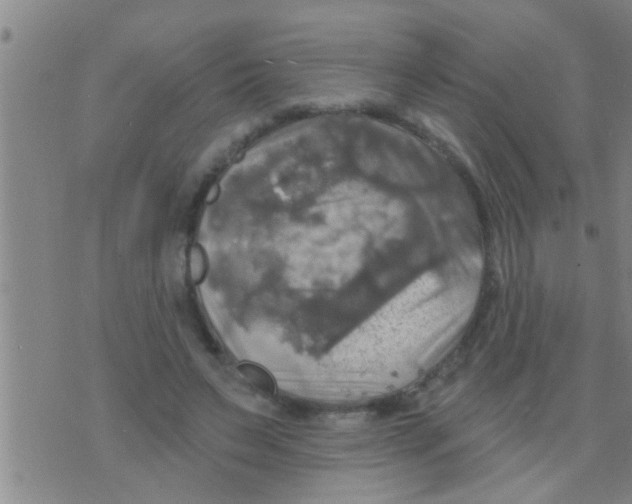 X0000075900495200610151820