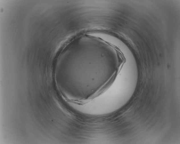 X0000075900496200610151820