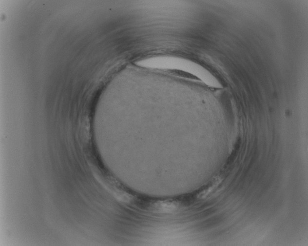 X0000075900498200610151820