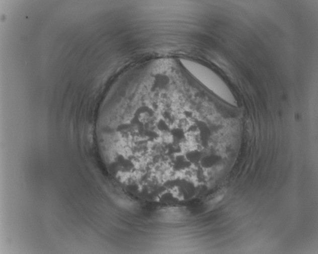 X0000075900499200610151820