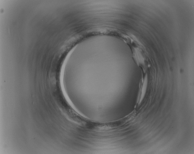 X0000075900500200610151820