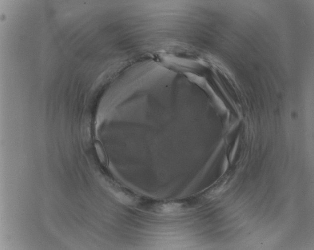 X0000075900501200610151820