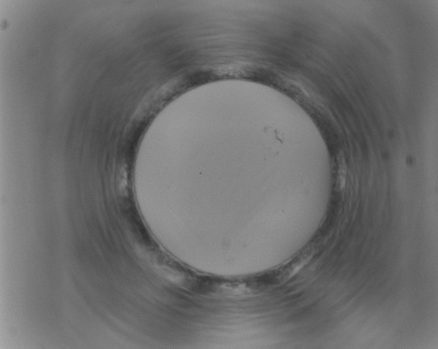 X0000075900502200610151820