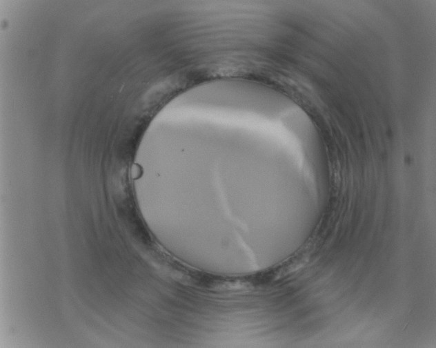 X0000075900503200610151819