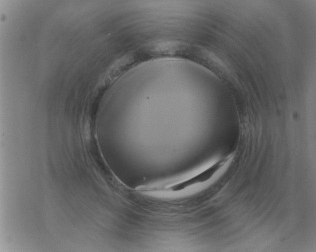 X0000075900504200610151819