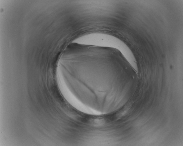 X0000075900506200610151819