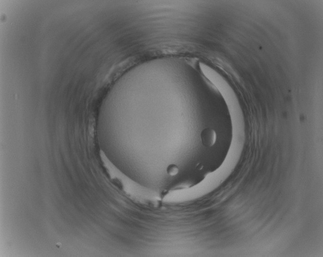 X0000075900509200610151819