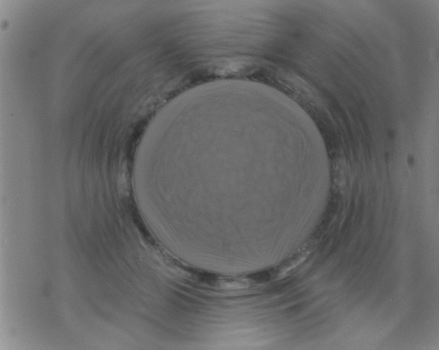 X0000075900510200610151819