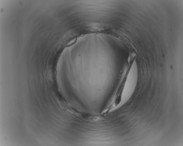 X0000075900512200610151819