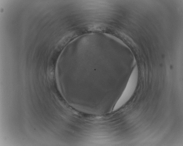 X0000075900513200610151819