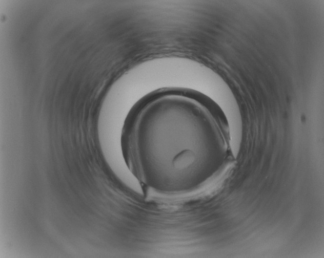 X0000075900516200610151819