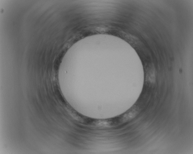 X0000075900518200610151819