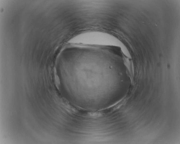 X0000075900520200610151819