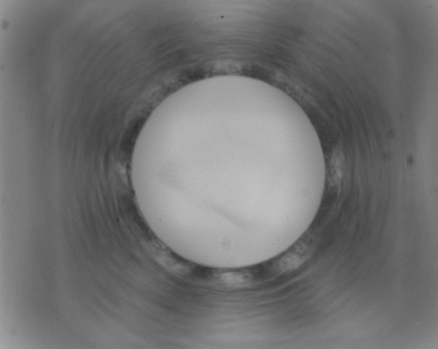 X0000075900522200610151819