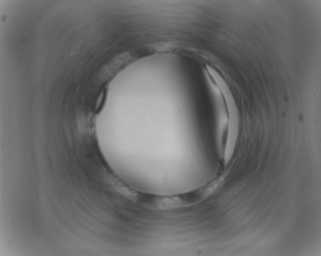 X0000075900525200610151819