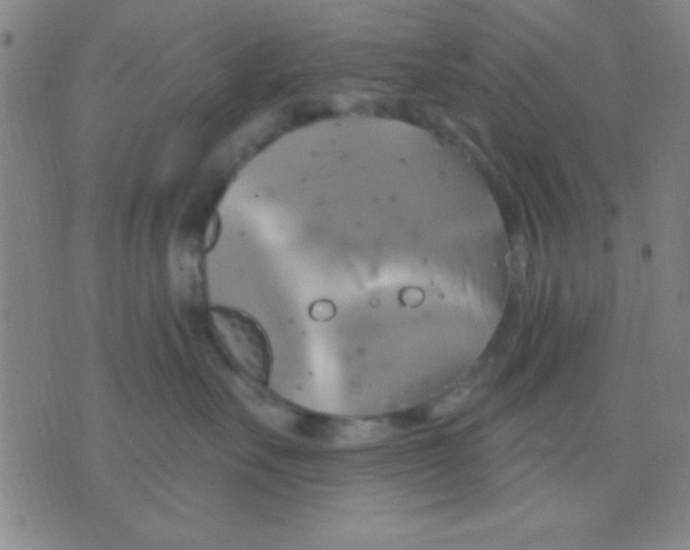 X0000075900527200610151819