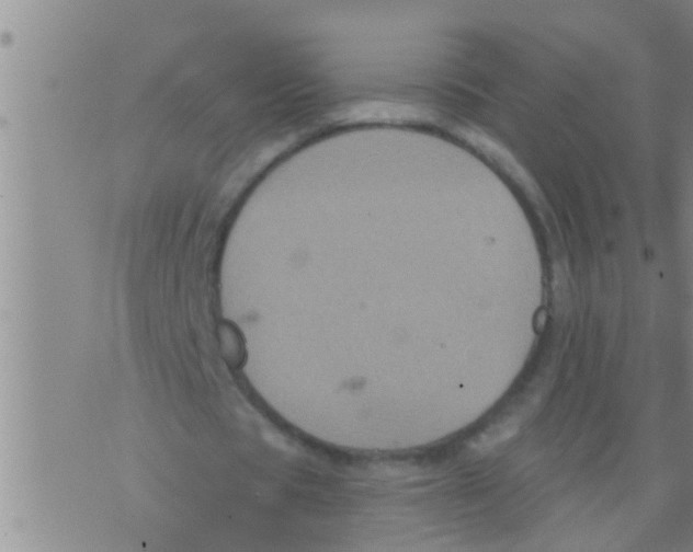 X0000075900529200610151818