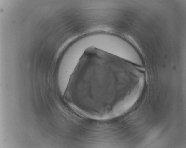 X0000075900531200610151818