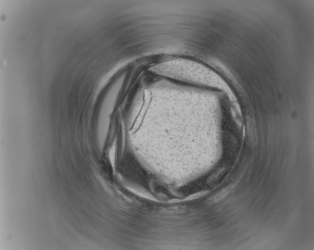 X0000075900532200610151818