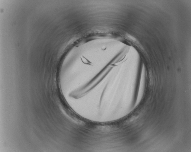 X0000075900538200610151818