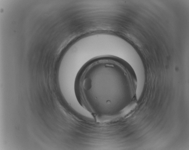 X0000075900544200610151819