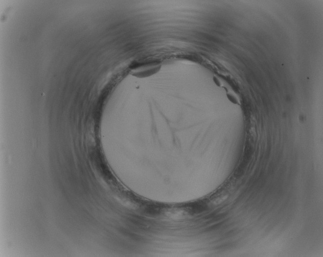 X0000075900547200610151819