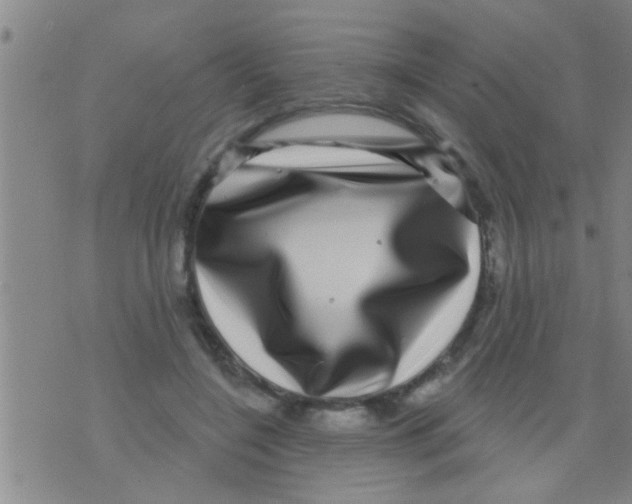 X0000075900548200610151819