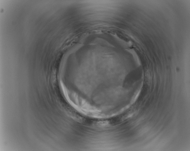 X0000075900554200610151819