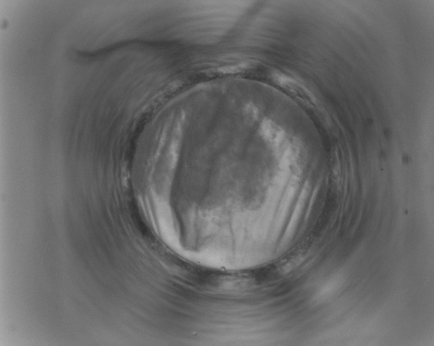 X0000075900555200610151819