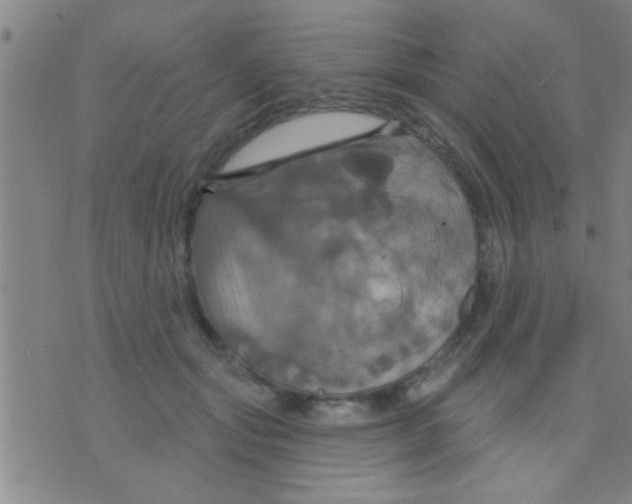 X0000075900557200610151819