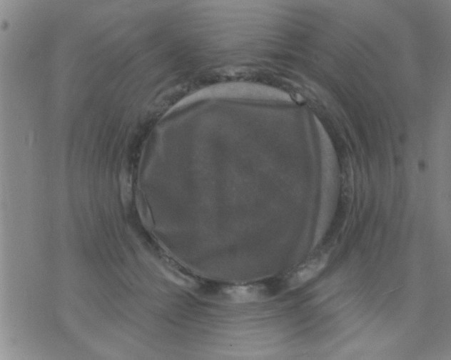 X0000075900558200610151819