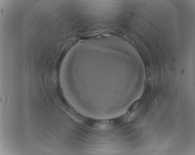 X0000075900563200610151819