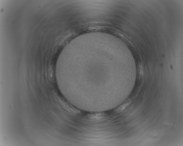 X0000075900567200610151819