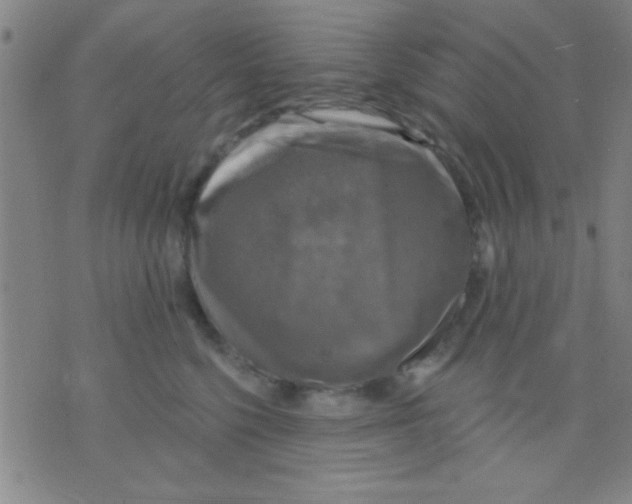 X0000075900568200610151819