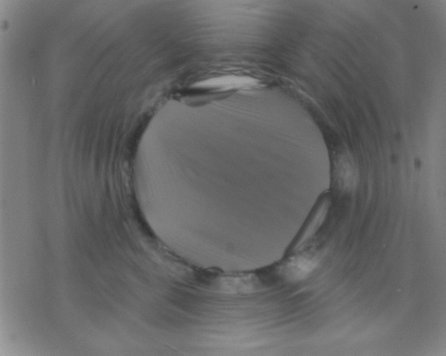 X0000075900571200610151819