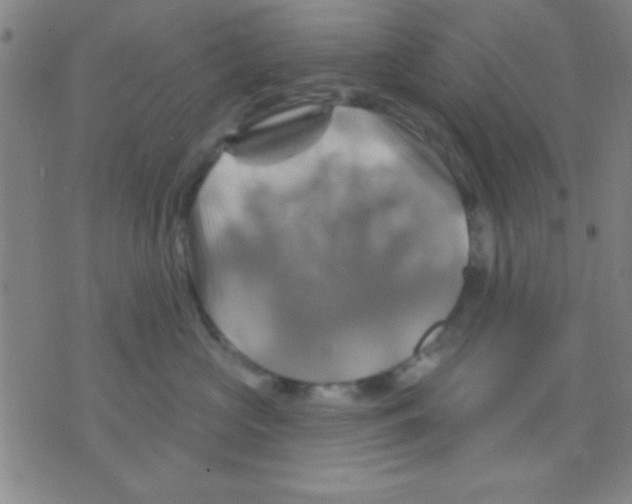 X0000075900573200610151819