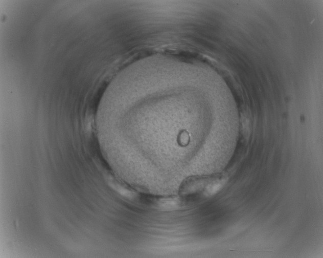 X0000075900574200610151819