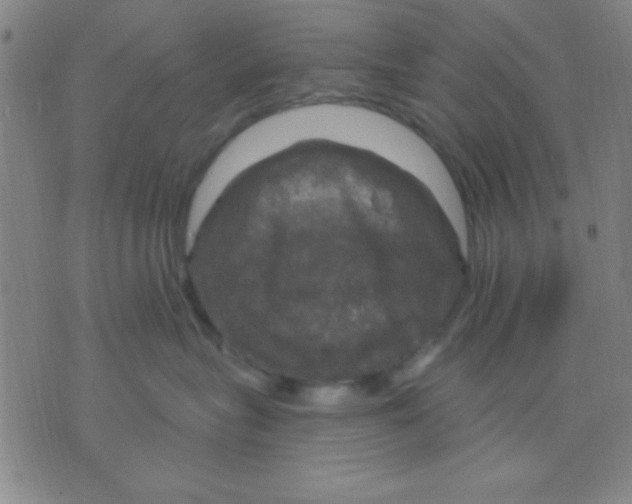 X0000075900575200610151819